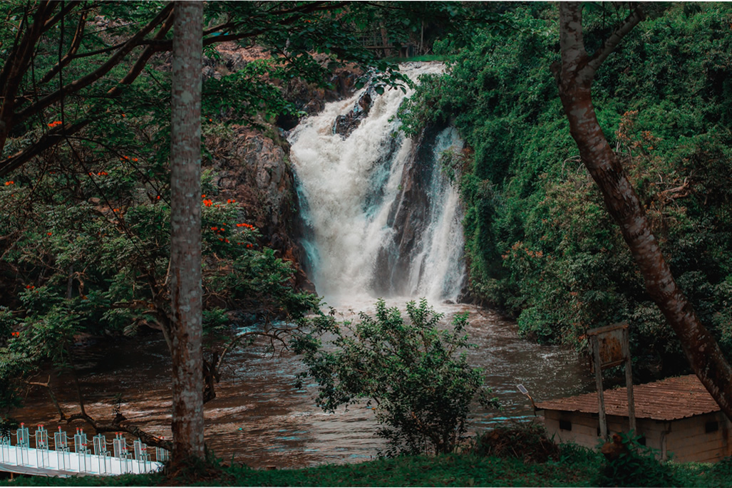 1 Day Ssezibwa Falls & Zip lining