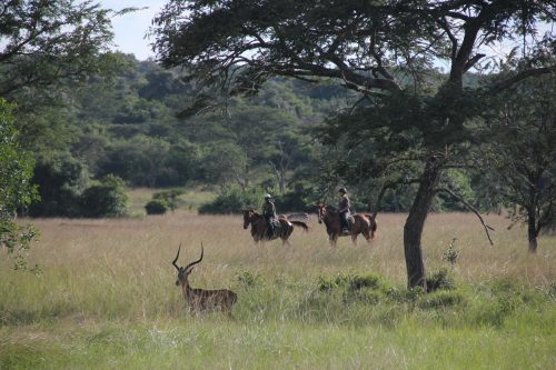 1 Day Visit LAke Mburo National Park