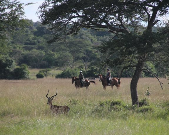 1 Day Visit LAke Mburo National Park