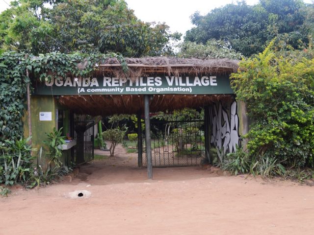 Reptile Village